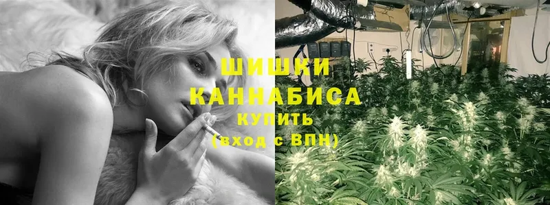 мега онион  Крымск  Бошки Шишки OG Kush 